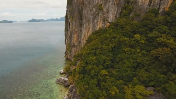 Praia tropical, vista aérea. Ilha tropical . — Vídeo de Stock