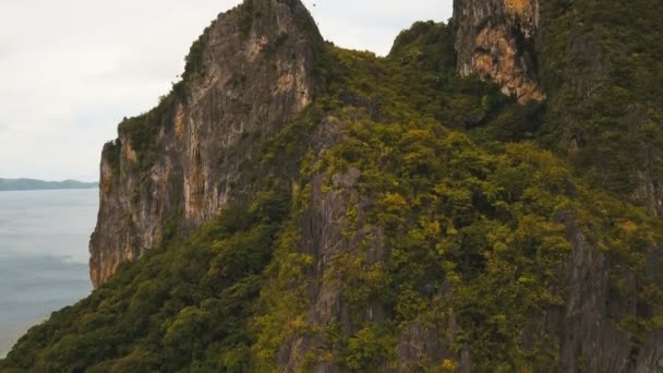 Forêt tropicale humide en montagne, vue aérienne . — Video