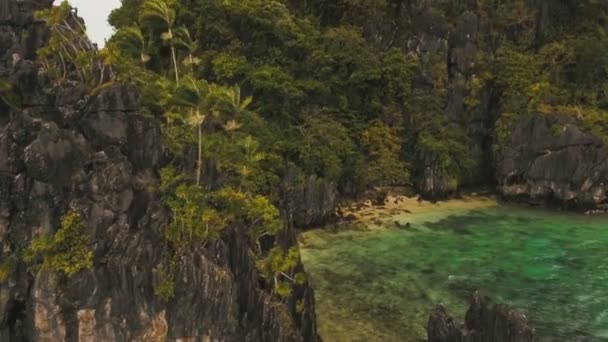 Playa tropical, vista aérea. Isla tropical . — Vídeo de stock