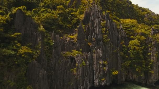 Vackra tropiska lagunen, Flygfoto. Tropisk ö. — Stockvideo