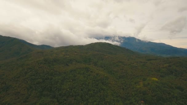 Floresta tropical nas montanhas. Ilha de Camiguin Filipinas . — Vídeo de Stock