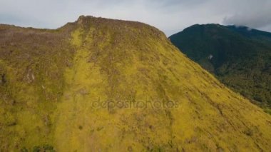 Ağaçlar ve bitki örtüsü dağın üzerinde. Camiguin Adası Filipinler.