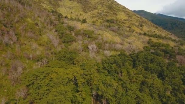 树木和植被在山腰上。甘米银岛菲律宾. — 图库视频影像