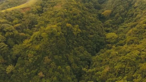 공중 보기 저녁 열 대 다 우림 카 미 구인 섬 필리핀. — 비디오