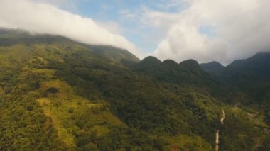 Tropikal orman dağlarda. Camiguin Adası Filipinler.