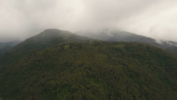 Tropický prales v horách. Camiguin island Filipíny. — Stock video