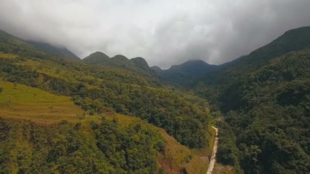 Tropikal orman dağlarda. Camiguin Adası Filipinler. — Stok video