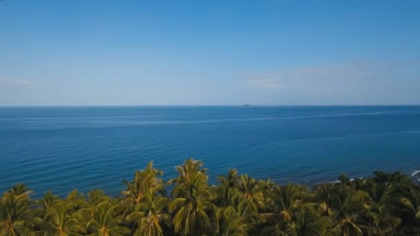 Τοπίο στη θάλασσα με τη θάλασσα και φοίνικες. Εναέρια άποψη: Camiguin νησί Φιλιππίνες. — Αρχείο Βίντεο