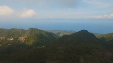 Tropikal ormanlı dağlar. Filipinler Cebu Adası.