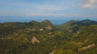 Tropikal ormanlı dağlar. Filipinler Cebu Adası.