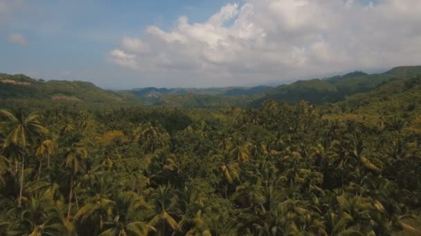 Hegyek trópusi erdőkkel. Fülöp-szigetek Cebu sziget. — Stock videók