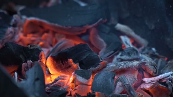 赤い熱い石炭. — ストック動画