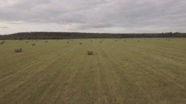 Haystacks sahada rulo. Hava video.