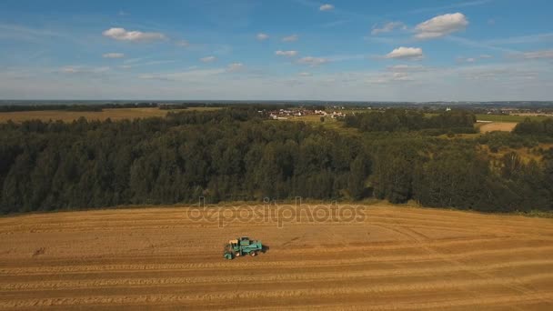 Luchtfoto combineren een gebied van de tarwe oogsten. — Stockvideo