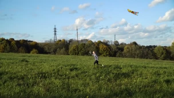 Meisje in een veld met een vlieger. — Stockvideo