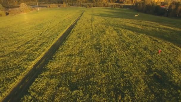 Ragazza in un campo con un aquilone. Vista aerea . — Video Stock