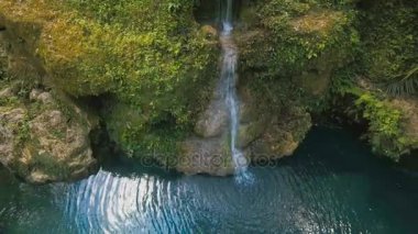 Güzel tropik şelale. Filipinler Cebu Adası.
