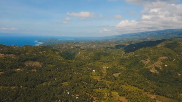 Bergen met tropisch bos. Filippijnen Cebu eiland. — Stockvideo