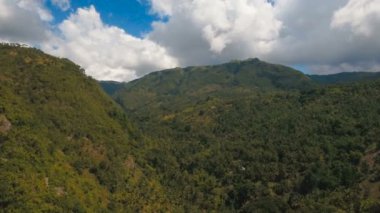 Tropikal ormanlı dağlar. Filipinler Cebu Adası.
