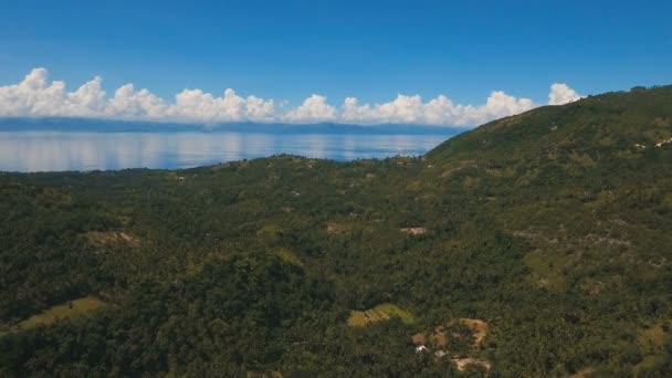 空中では、熱帯の島の美しい海岸線を表示します。フィリピン セブ島. — ストック動画