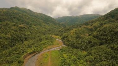 Nehir dağ ormanlarında. Camiguin Adası Filipinler.