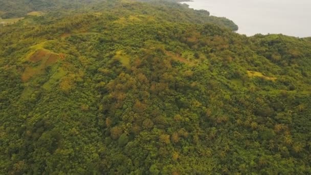 Góry z lasów tropikalnych. Catanduanes Filipin wyspie. — Wideo stockowe