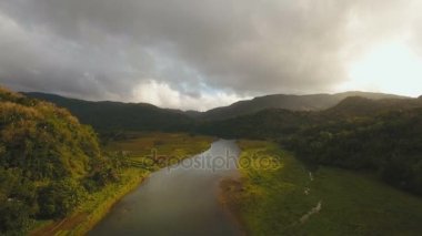 Nehir dağ ormanlarında. Camiguin Adası Filipinler.
