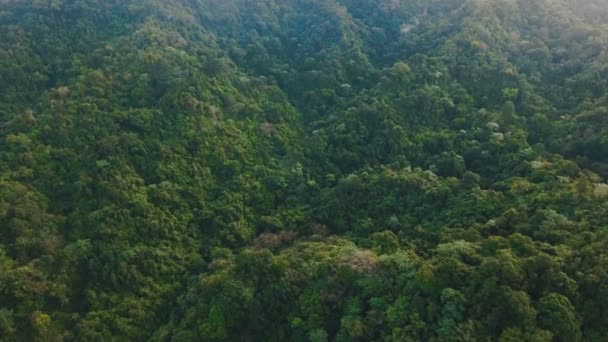Горы с тропическим лесом. Филиппинский остров Катандуанес . — стоковое видео