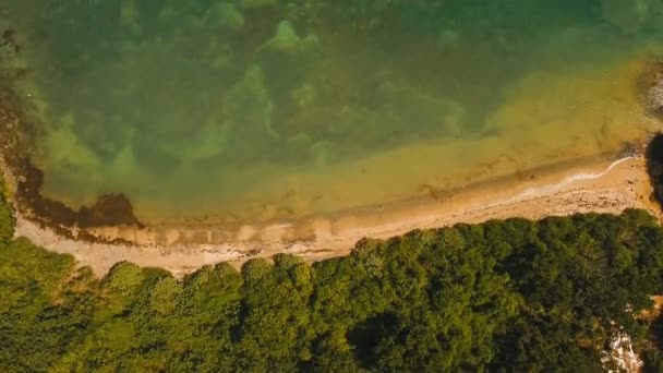 Flygfoto tropisk lagun, havet, stranden. Tropisk ö. Catanduanes, Filippinerna. — Stockvideo