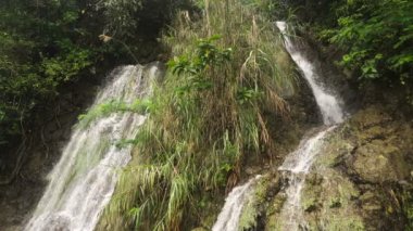 Güzel tropik şelale. Filipinler Cebu Adası.