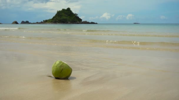 Coco verde en la playa de arena . — Vídeo de stock
