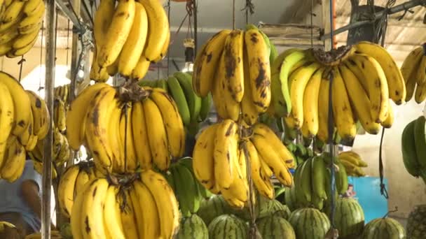 Bananas in the fruit market — Stock Video