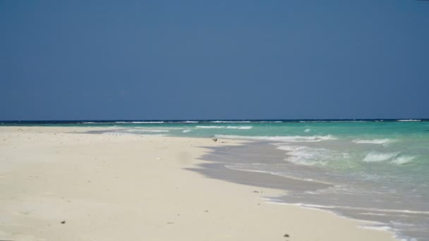 열 대 섬에 아름 다운 해변. — 비디오