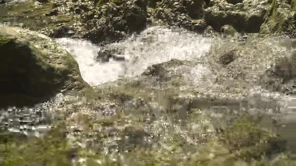 Mountain stream rivier. — Stockvideo