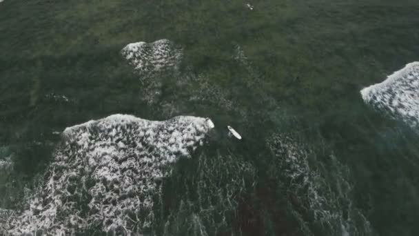 Vue aérienne des surfeurs sur les vagues Catanduanes, Philippines .
