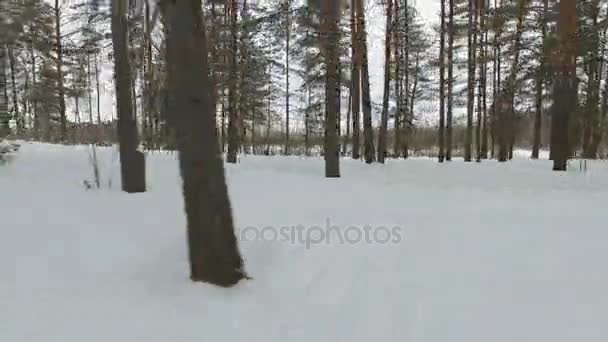 Racen op een sneeuwscooter. — Stockvideo