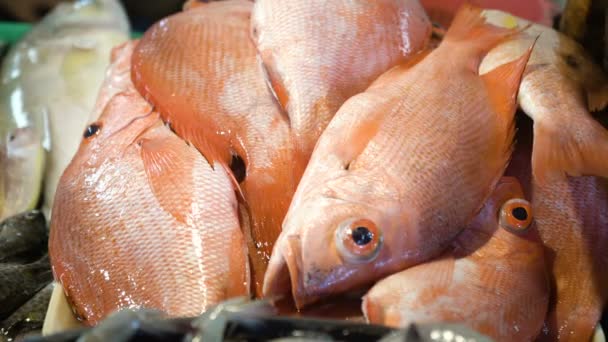 Ryby na rynku azjatyckim. — Wideo stockowe