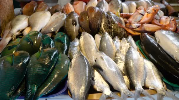 Pescado en el mercado asiático. — Vídeo de stock