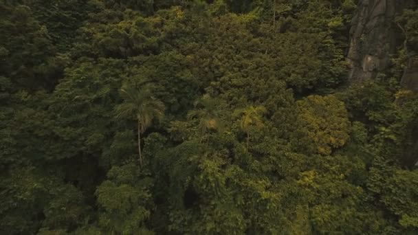 Selva tropical en las montañas, vista aérea . — Vídeos de Stock