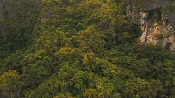 Forêt tropicale humide en montagne, vue aérienne .