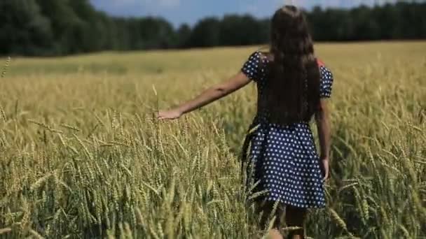 Hand van meisje in het tarweveld. — Stockvideo