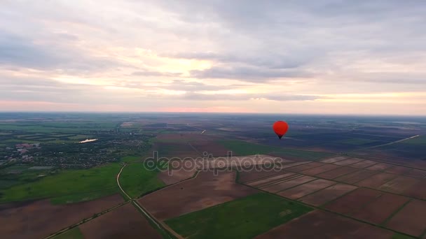 Hete lucht ballonnen in de lucht over een veld. Luchtfoto — Stockvideo