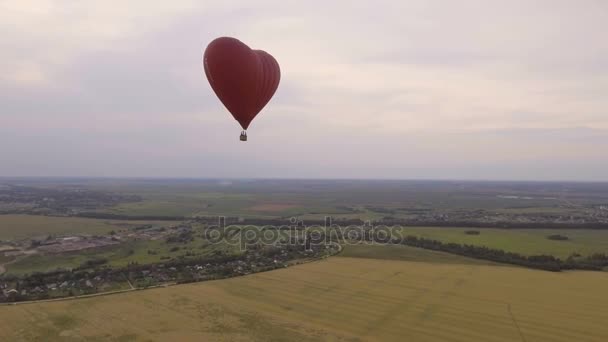 Horkovzdušný balón na obloze nad pšeničné pole. Letecký pohled — Stock video