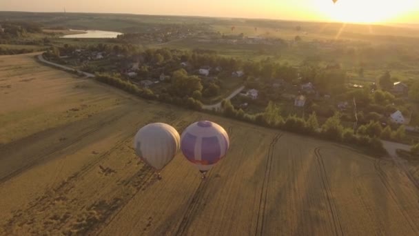 Balonów na ogrzane powietrze w niebo nad polem. Widok z lotu ptaka — Wideo stockowe