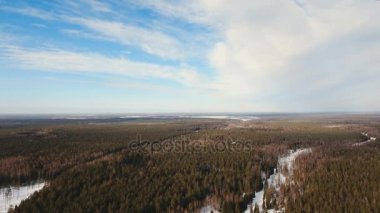 Ormanlı kış manzarası.