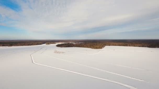 Vinterlandskap med skog, fält. Vinterlandskap. — Stockvideo