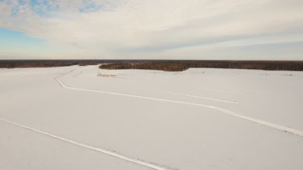 Vinterlandskab med skov, mark. Vinterlandskab . – Stock-video