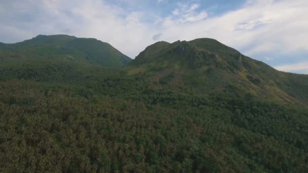 Tropikal orman dağlarda. Camiguin Adası Filipinler. — Stok video