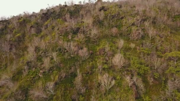 Árboles y vegetación en la ladera de la montaña. Isla de Camiguin Filipinas . — Vídeos de Stock