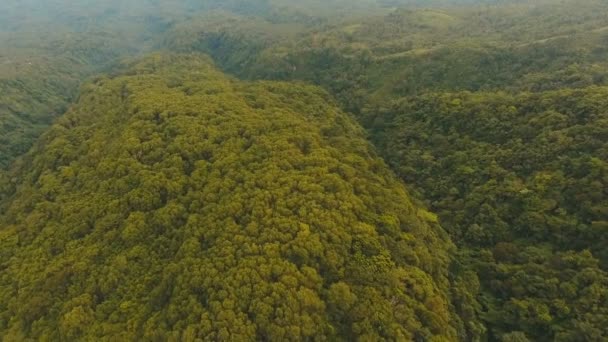 Vista aérea floresta tropical à noite. Ilha de Camiguin Filipinas . — Vídeo de Stock